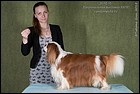 AZARTIS ISKUSITEL  КЧК (2).jpg